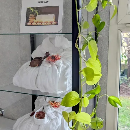 Aparthotel Acqua