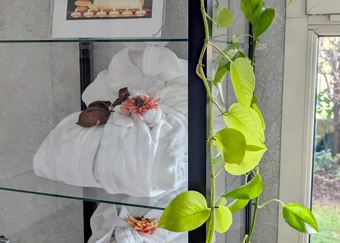 Aparthotel Acqua